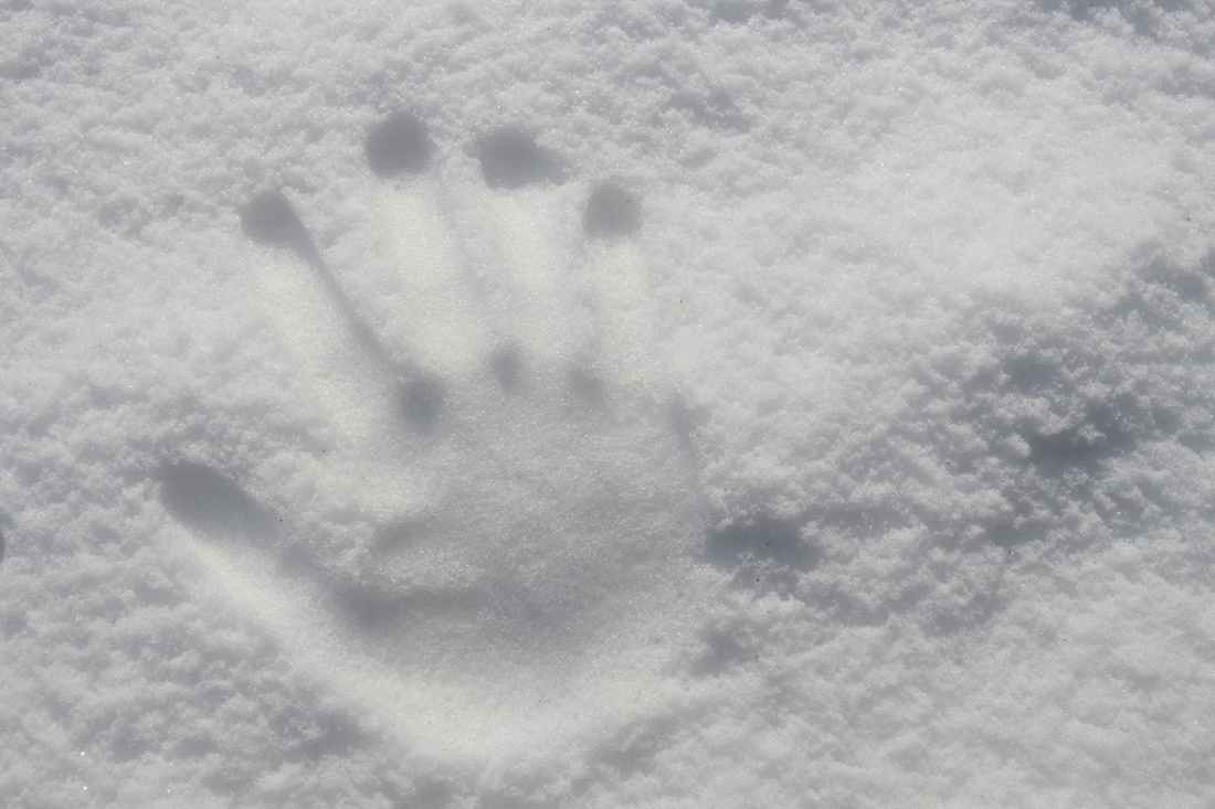 hand print on snow